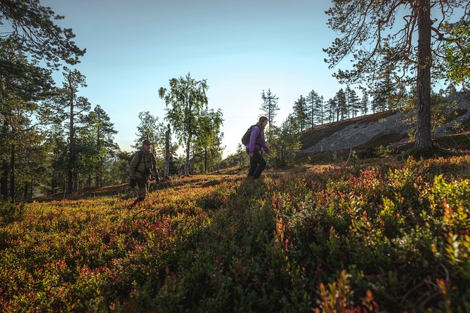 Guided easy hike in Finland deepest gorge in Pyhä-Luosto National Park - What the $80.95 price really covers