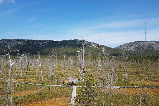 Guided easy hike in Finland deepest gorge in Pyhä-Luosto National Park - Who will get the most from this walk