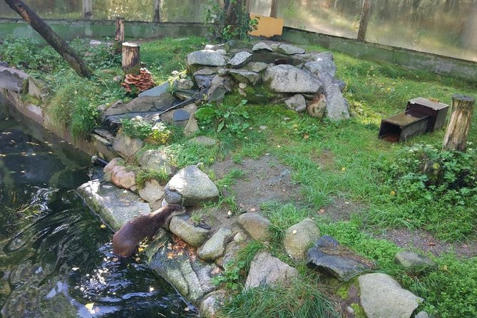 Guided Ranua Wildlife Park tour with Lunch, Small group adventure - A casual buffet lunch after the walk