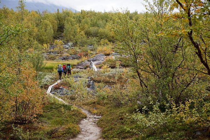Guided reindeer farm visit and one hour sledge safari - Key points to know before booking