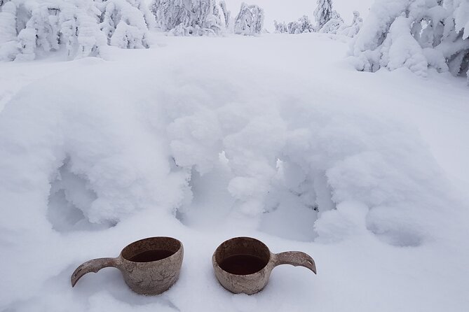 Guided reindeer farm visit and one hour sledge safari - What happens after the ride