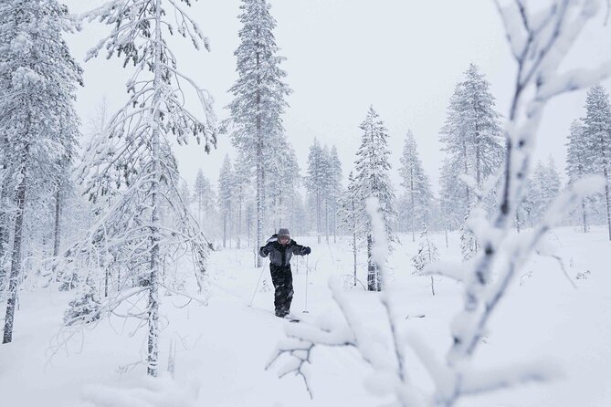 Half-Day Backcountry Skiing Tour in Levi with Photography Guide - What the four-hour outing feels like