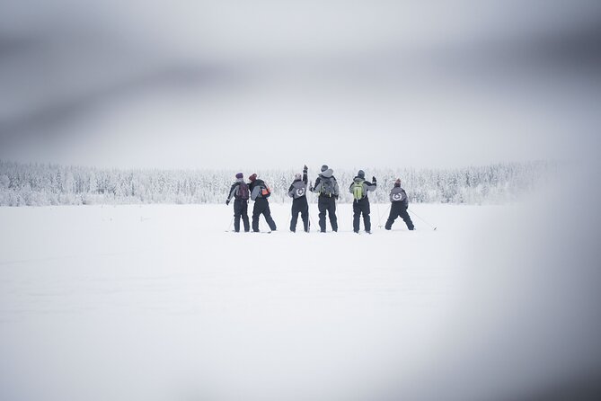 Half-Day Backcountry Skiing Tour in Levi with Photography Guide - Forest scenery with a quieter pace