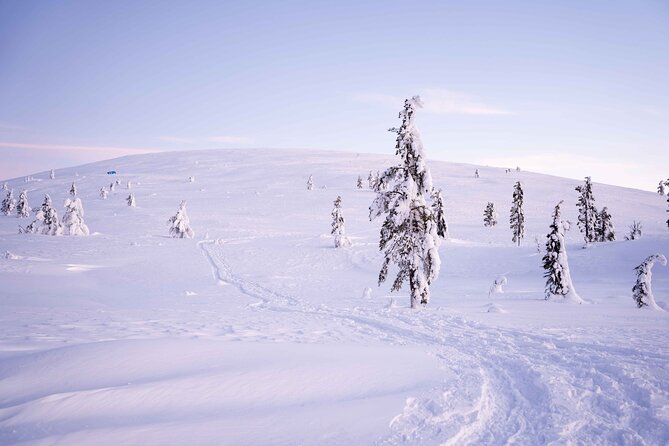 Half-Day Backcountry Skiing Tour in Levi with Photography Guide - Pickup, meeting point, and group size