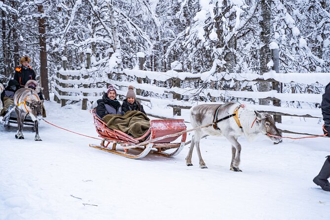 Half-Day Experience in Local reindeer farm in Lapland - Meeting the reindeer after the ride