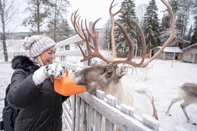 Half-Day Experience in Local reindeer farm in Lapland - Photography that adds real value