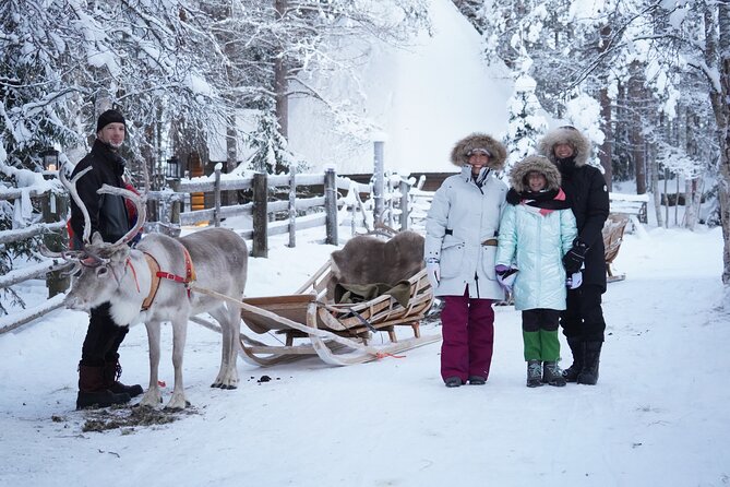 Half-Day Experience in Local reindeer farm in Lapland - Preparing for the 2km sleigh ride