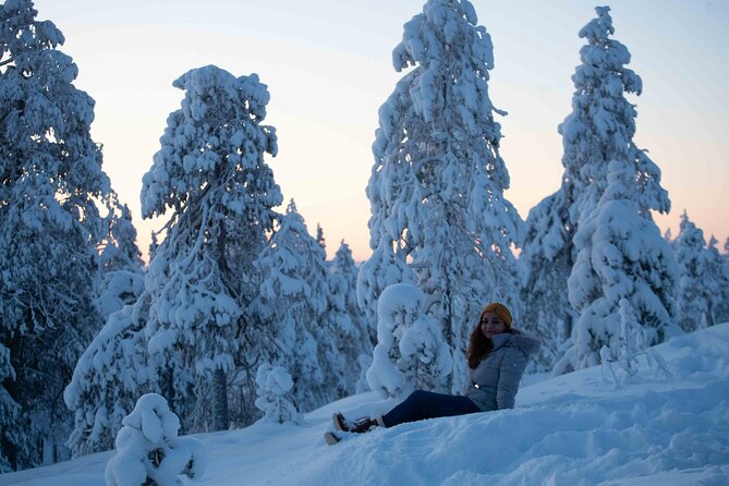 Half Day Guided Tour in the Wilderness of Levi - Is $158.61 a fair price?