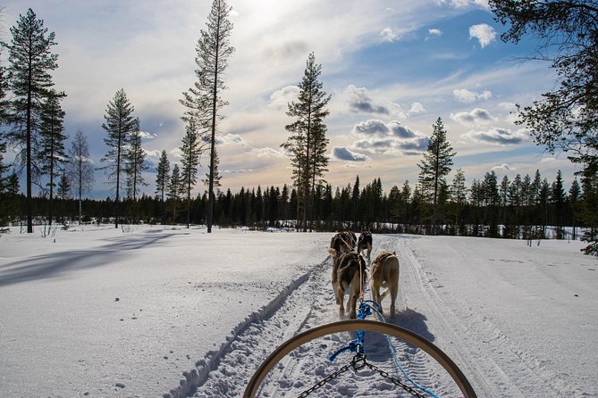 Half-Day Husky Safari and Salmon Ice Fishing Experience - Warming up in the kota