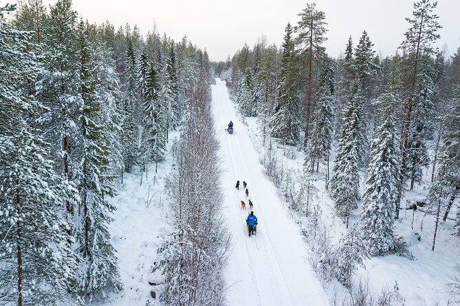 Half-Day Husky Safari and Salmon Ice Fishing Experience - Is $264.91 a fair price?