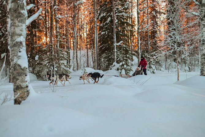 Half-Day Husky Safari and Salmon Ice Fishing Experience - Who will enjoy this half-day adventure?