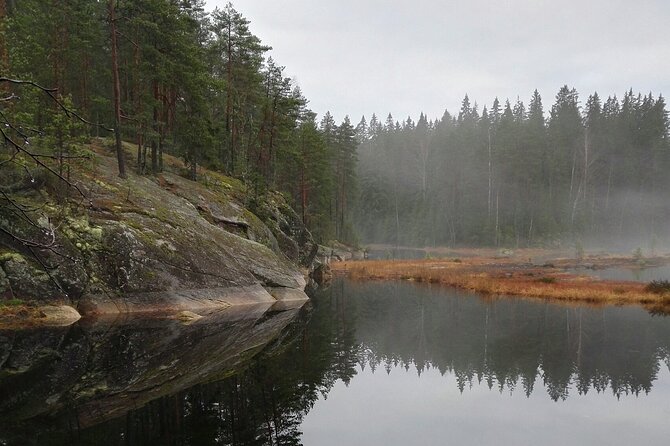 Half-Day Nature Adventure to Nuuksio National Park from Helsinki - What a biologist guide adds