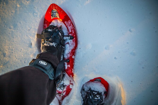 Half Day Snowshoe Hiking Adventure in Levi Lapland - Fire, hot drinks, and a slower middle section