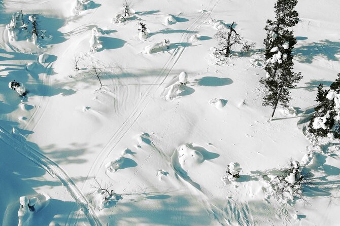 Half Day Snowshoe Hiking Adventure in Levi Lapland - Three hours that fit a Levi itinerary