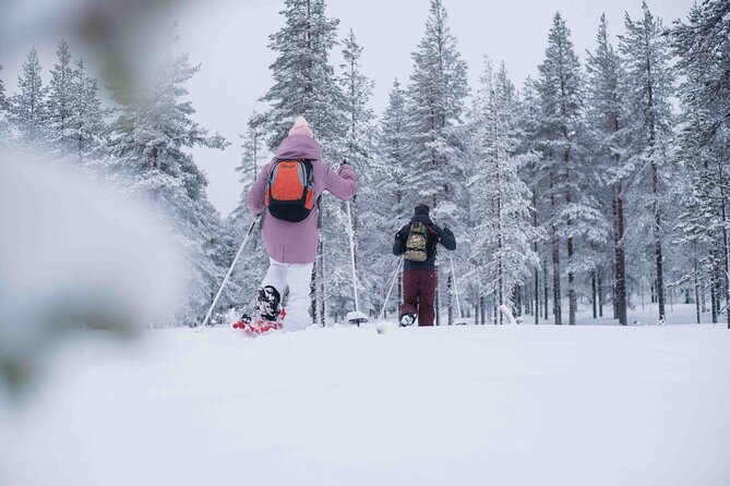Half Day Snowshoe Hiking Adventure in Levi Lapland - Practical details before you reserve
