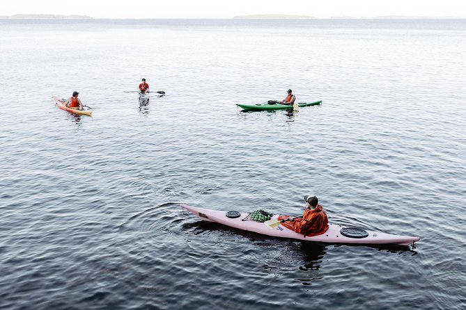 Helsinki by Kayak - The island stop and the Finnish outdoor habit