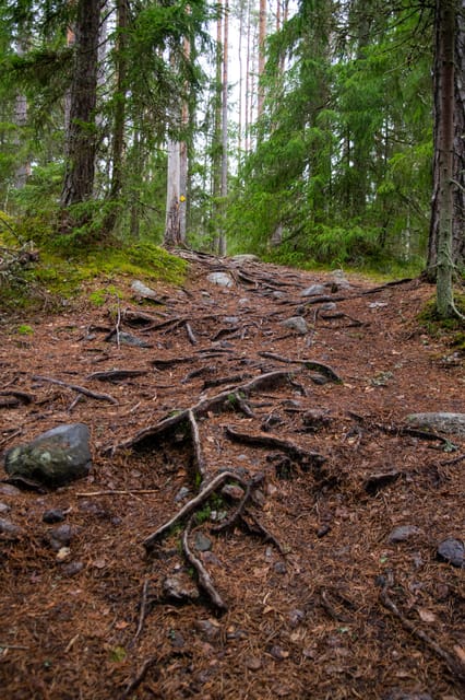 Helsinki: Nuuksio National park hiking with campfire lunch - Meeting point and practical timing