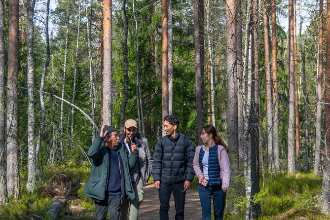 Helsinki: Nuuksio National park hiking with campfire lunch - Campfire food with a Finnish touch