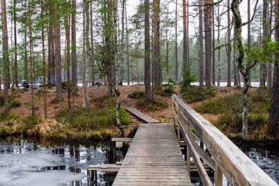 Nuuksio National park hiking with campfire lunch
