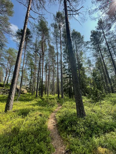 Helsinki: Nuuksio National park hiking with campfire lunch - What to pack for the six-hour outing