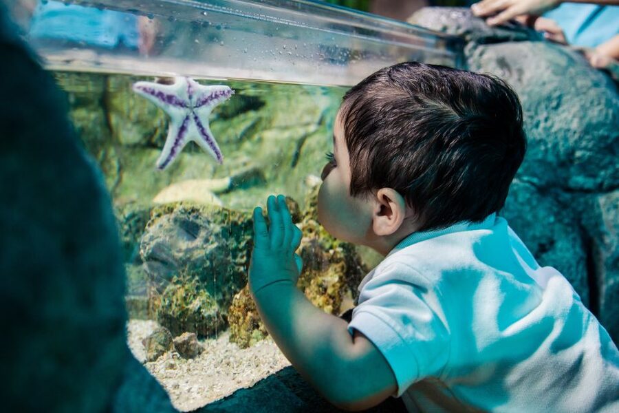 Helsinki: Sea Life Entrance Tickets - Key points to know before you go