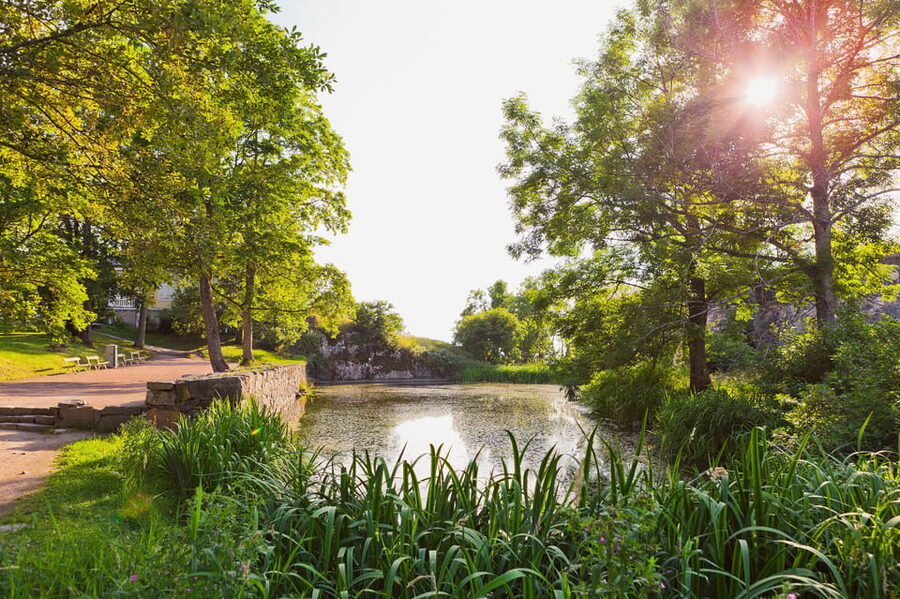 Helsinki: Suomenlinna and Lonna Hop-on Hop-off Cruise - Practical details that affect your choice