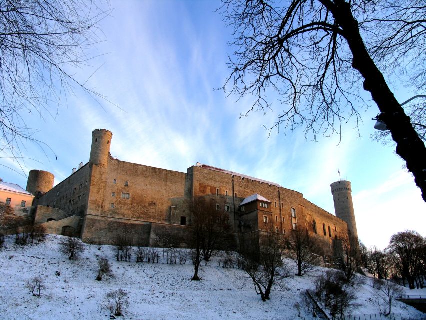 Helsinki: Tallinn Guided Day Tour with Ferry Crossing - Nearly three hours to eat and explore alone