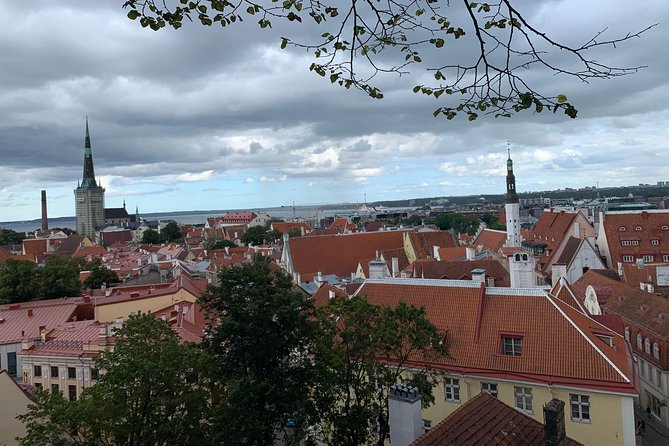 Helsinki to Tallinn Guided Tour -cruise ticket & pick up included - Kohtuotsa Viewpoint and the best city photographs