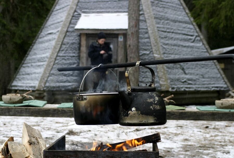 Helsinki: Winter Wonderland Liesjärvi National Park Hike - Key points to know before booking