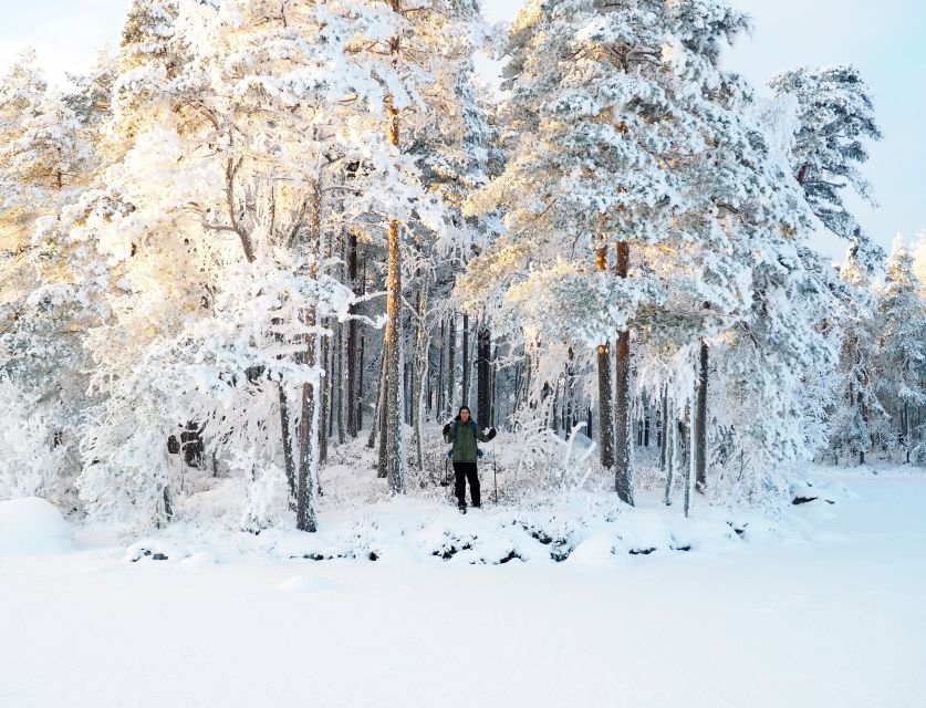 Helsinki: Winter Wonderland Liesjärvi National Park Hike - Who should book this winter hike?