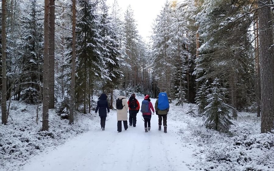 Helsinki: Winter Wonderland Liesjärvi National Park Hike - A wilderness hut, a fire, and salmon soup