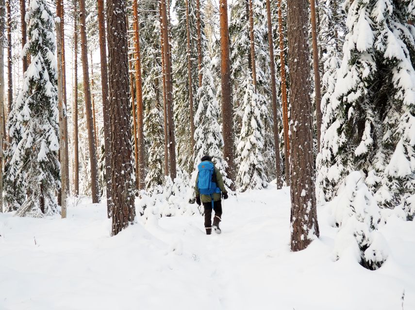 Helsinki: Winter Wonderland Liesjärvi National Park Hike - Free time for snow, photos, and quiet