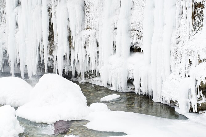 Hike to Frozen Waterfalls of Korouoma Including BBQ Lunch from Rovaniemi - The bonfire lunch: a real part of the experience