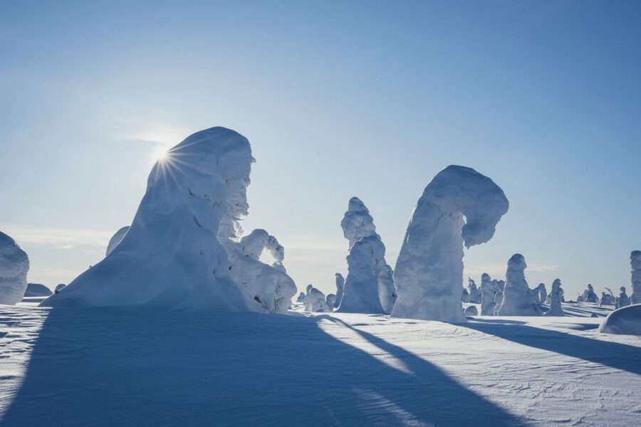 Hiking in Riisitunturi National Park with Photographer - Practical details that can affect your day