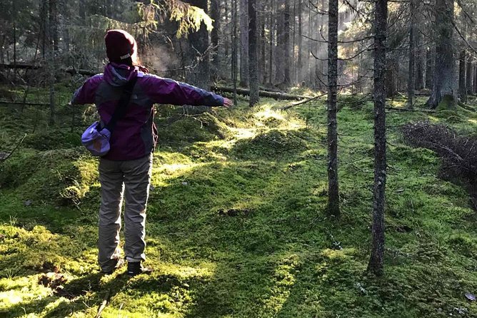 Hiking tour in Nuuksio National Park with meal and snacks - Key points to know before you book