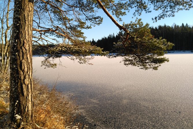 Hiking tour in Nuuksio National Park with meal and snacks - Learning about Finnish plants and foraging