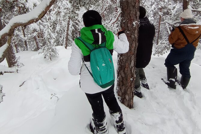 Hiking tour in Nuuksio National Park with meal and snacks - What the $113.72 price includes