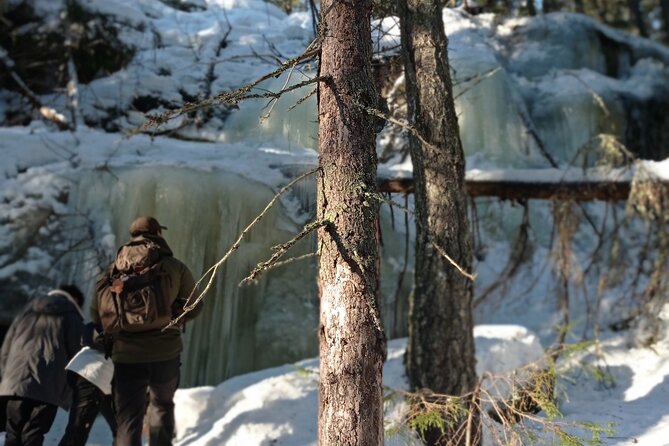 Hiking tour in Nuuksio National Park with meal and snacks - Seasonal conditions and what to bring