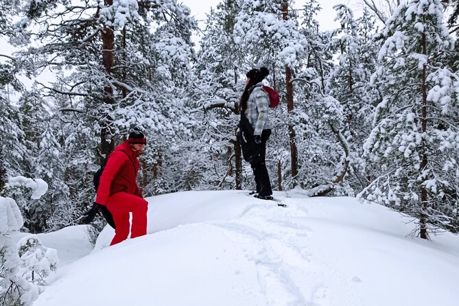 Hiking tour in Nuuksio National Park with meal and snacks - Walking through woods, bogs, and lakes