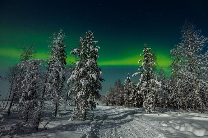 Hunting Northern Lights with Husky - The fire, blueberry juice, and small barbecue