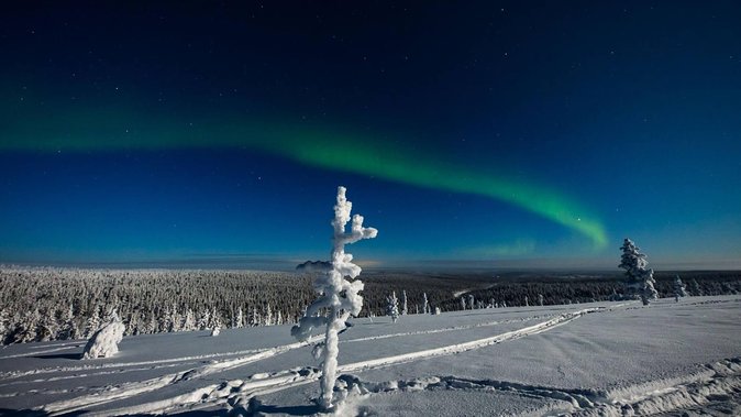 Hunting Northern Lights with Husky - The Northern Lights search