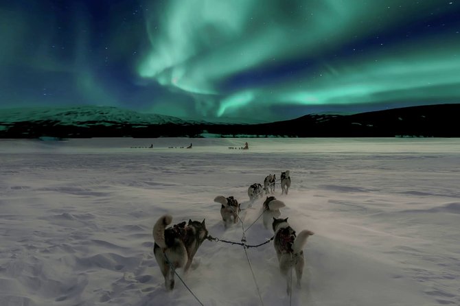 Hunting Northern Lights with Husky - Getting ready for the cold