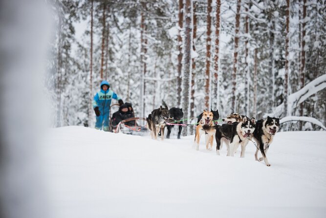 Husky and Reindeer Experience - Transport keeps the day simple, but adds waiting time