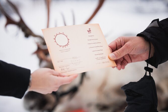 Husky and Reindeer Experience - Cold-weather planning matters more than the brochure suggests
