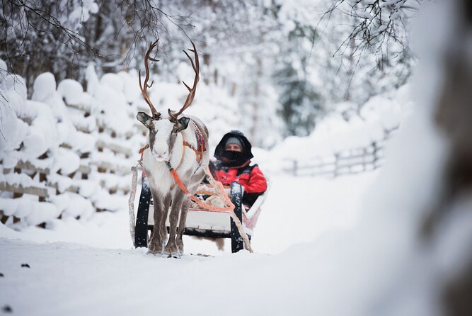 Husky and Reindeer Experience - Santa Claus Village is free time, not a Santa appointment