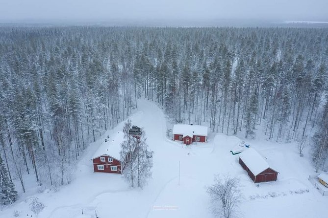 Husky safari - Meeting the huskies near Keminmaa