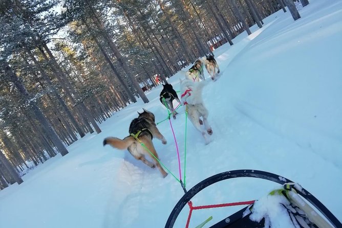 Husky safari - Is $139.38 a fair price?