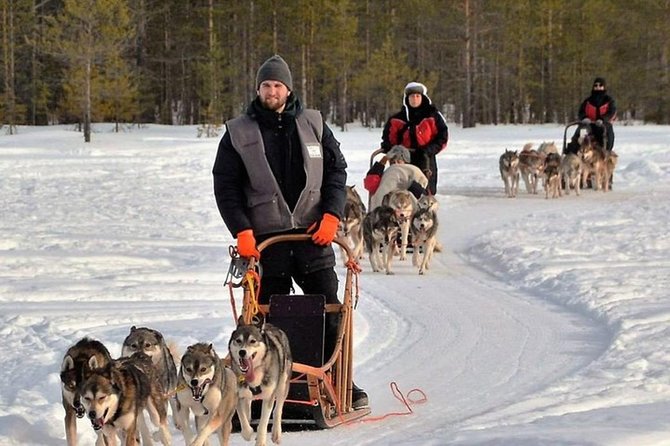 Husky Safari from Levi 2 KM or 5 KM with Husky Sledge Ride - Is $202.84 a fair price?
