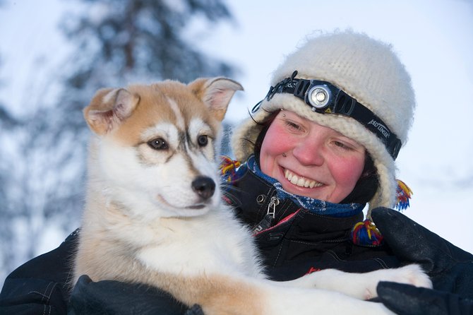 Husky Safari from Rovaniemi Including a Husky Sled Ride - Meeting the huskies before the ride