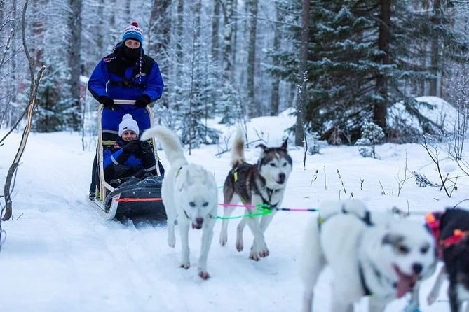 Husky safari - What makes the dogs the highlight